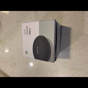 Google home mini